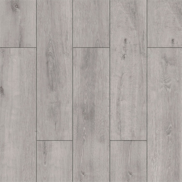Silver Plus